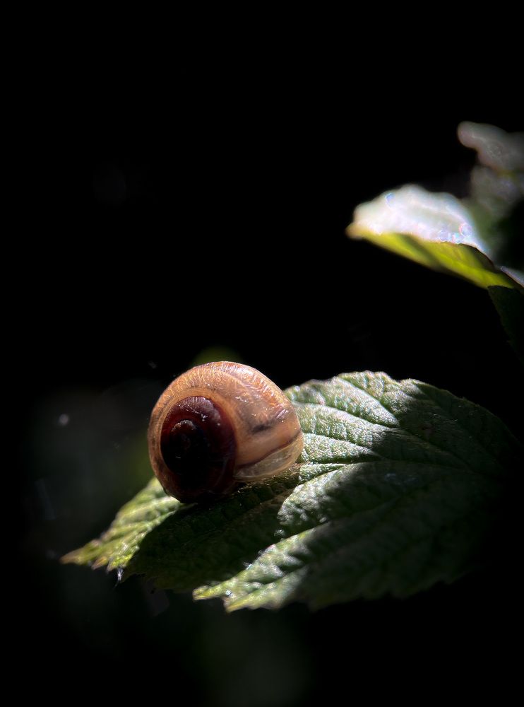 Photograph by Леонид Положевец