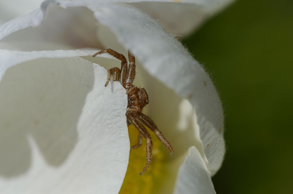 Photograph by Ahto Avi