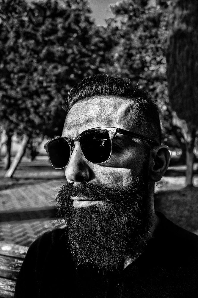 Фотография автора José Travassos