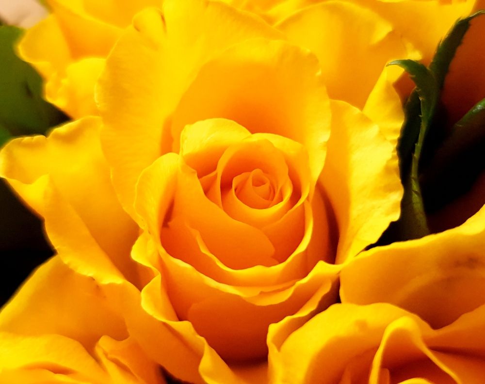 Photograph by Svetlana Toropoviene