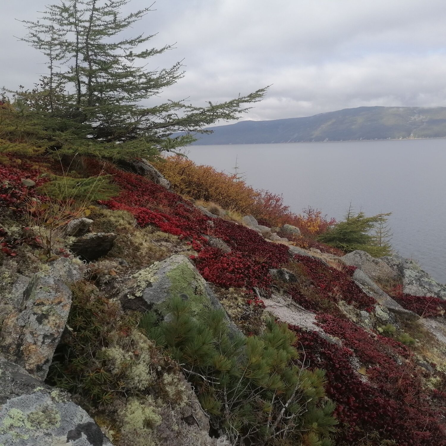 Photo #6490579