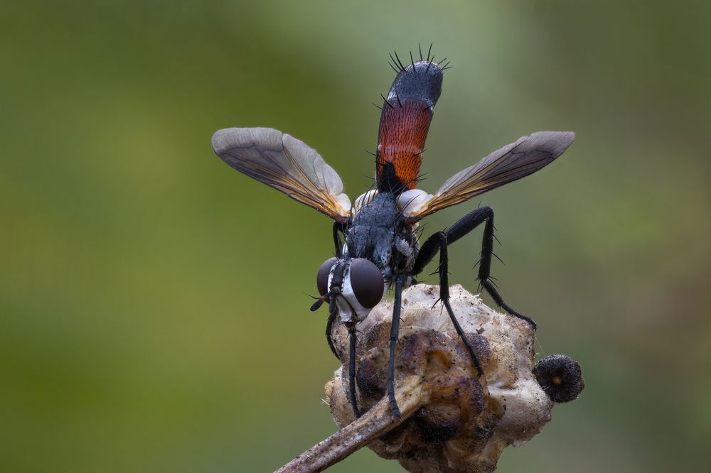 Photograph by Andrey Ostapenko