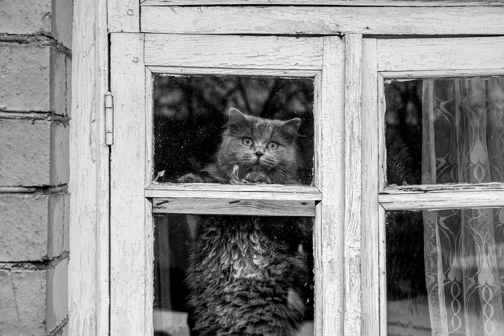 Photograph by Сяргей Клемянок