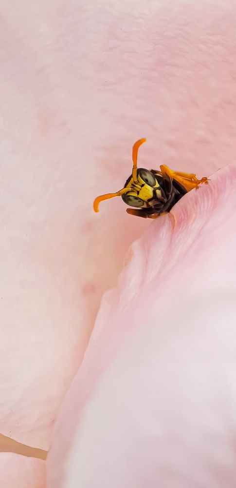 Photograph by Наталья Ким