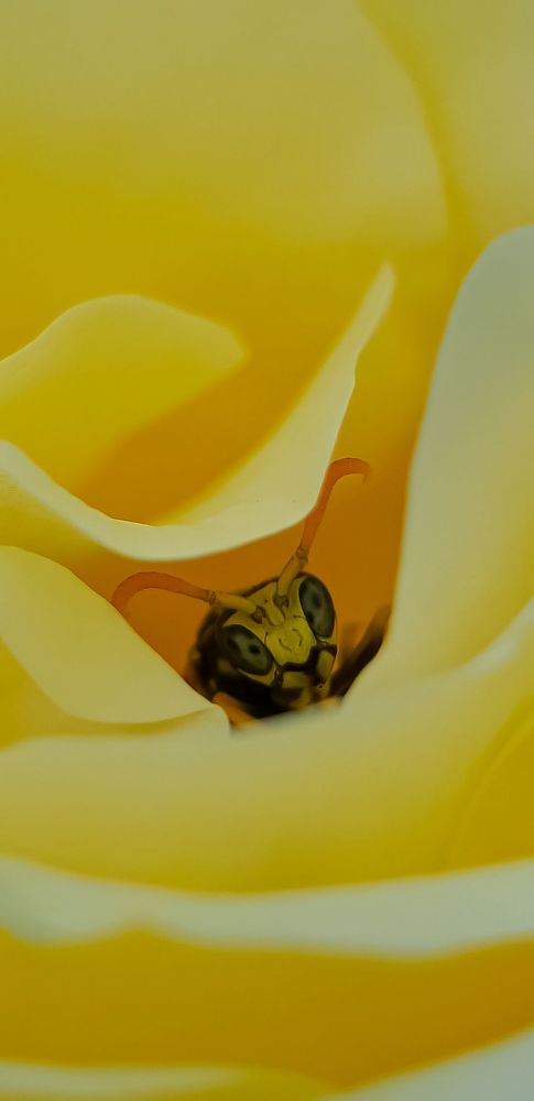 Photograph by Наталья Ким