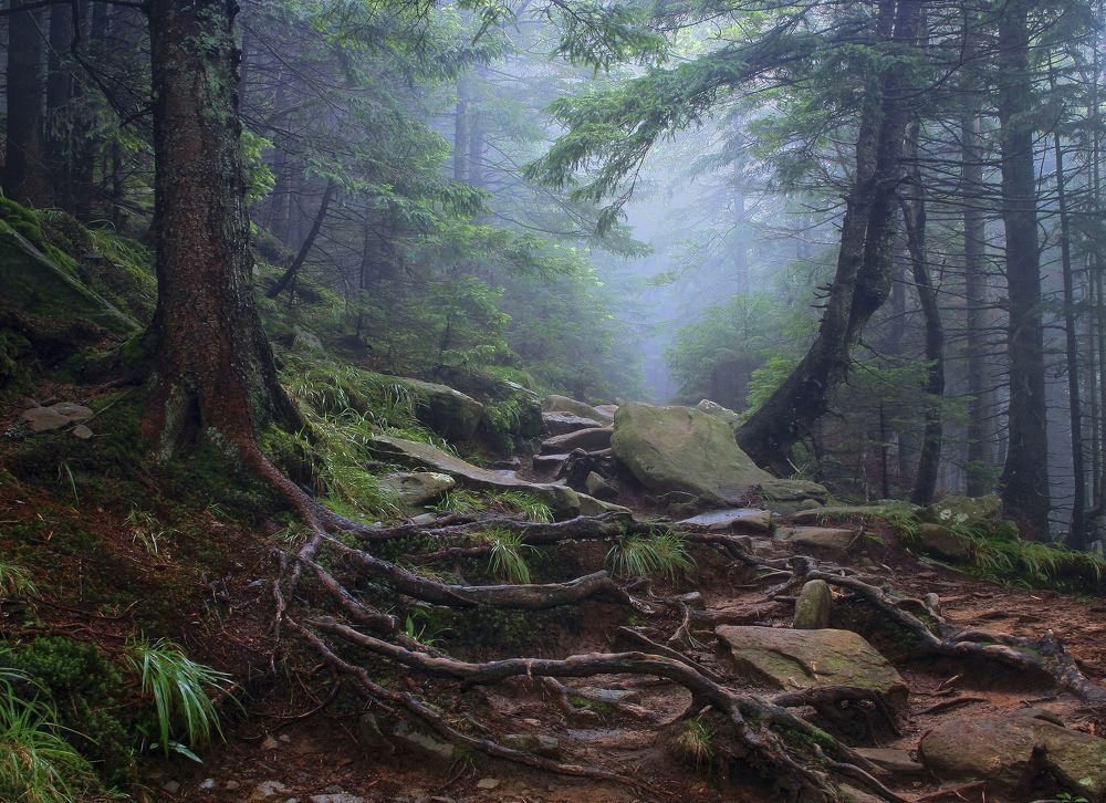 Фотография автора Милокост Алексей