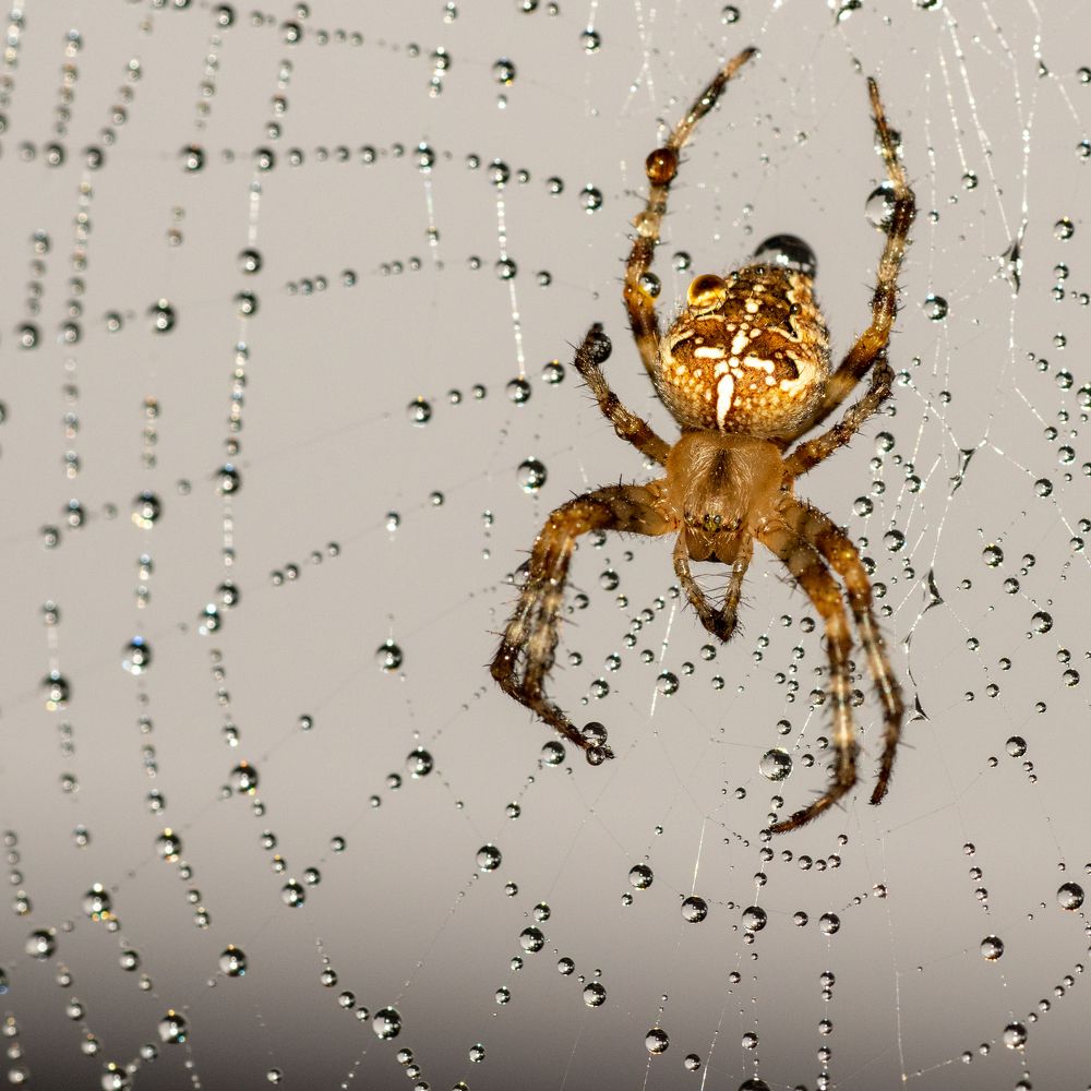 Photograph by Vitalijs Mironovs