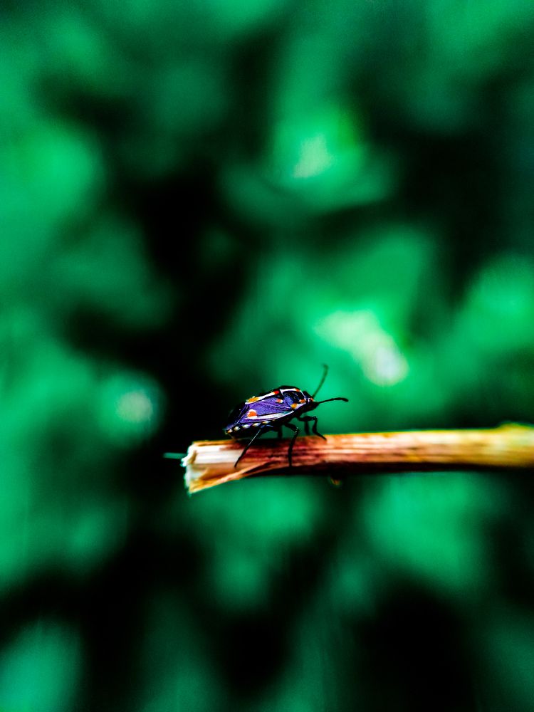 Photograph by dharmik rathod