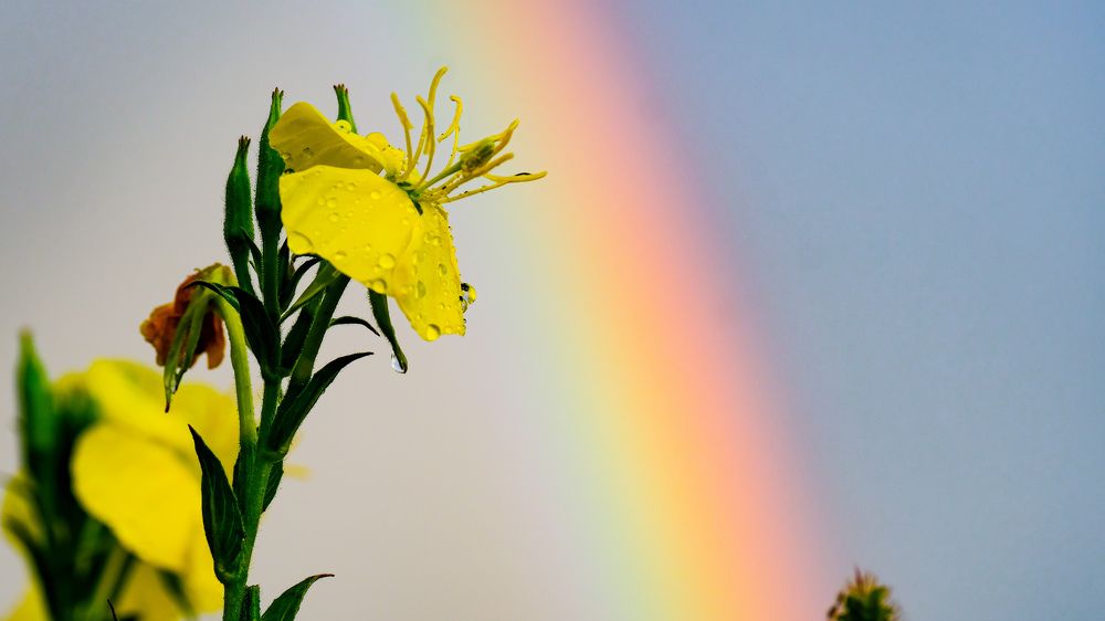 Photograph by Василий Арлашов