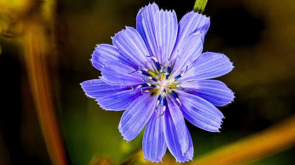 Photograph by Василий Арлашов