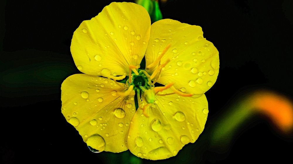 Photograph by Василий Арлашов