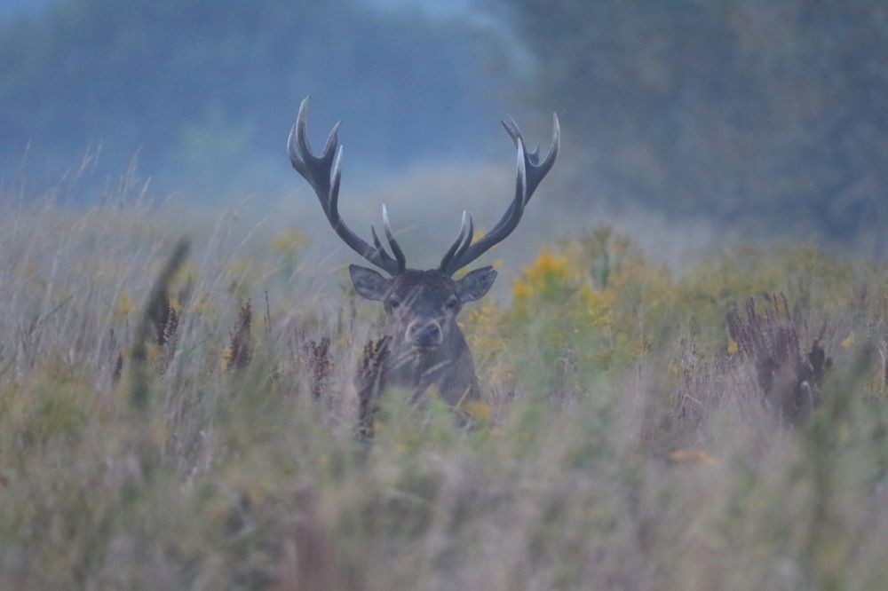 Photograph by Piotr Warzecha