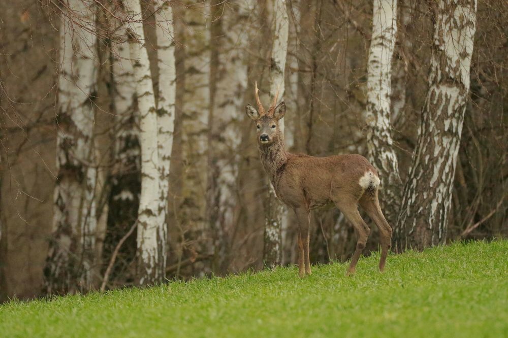 Photograph by Piotr Warzecha