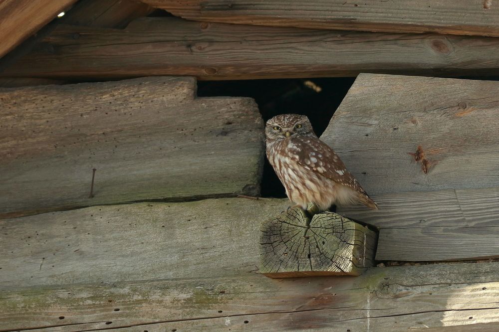 Photograph by Piotr Warzecha