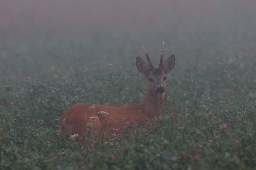 Photograph by Piotr Warzecha