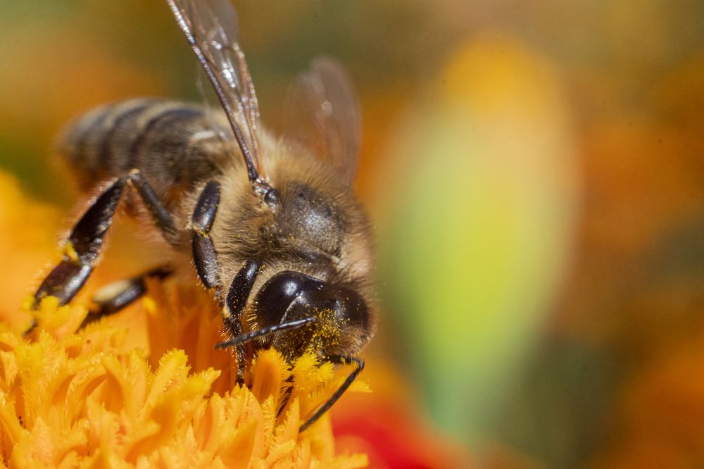 Photograph by Алексей Мосейко