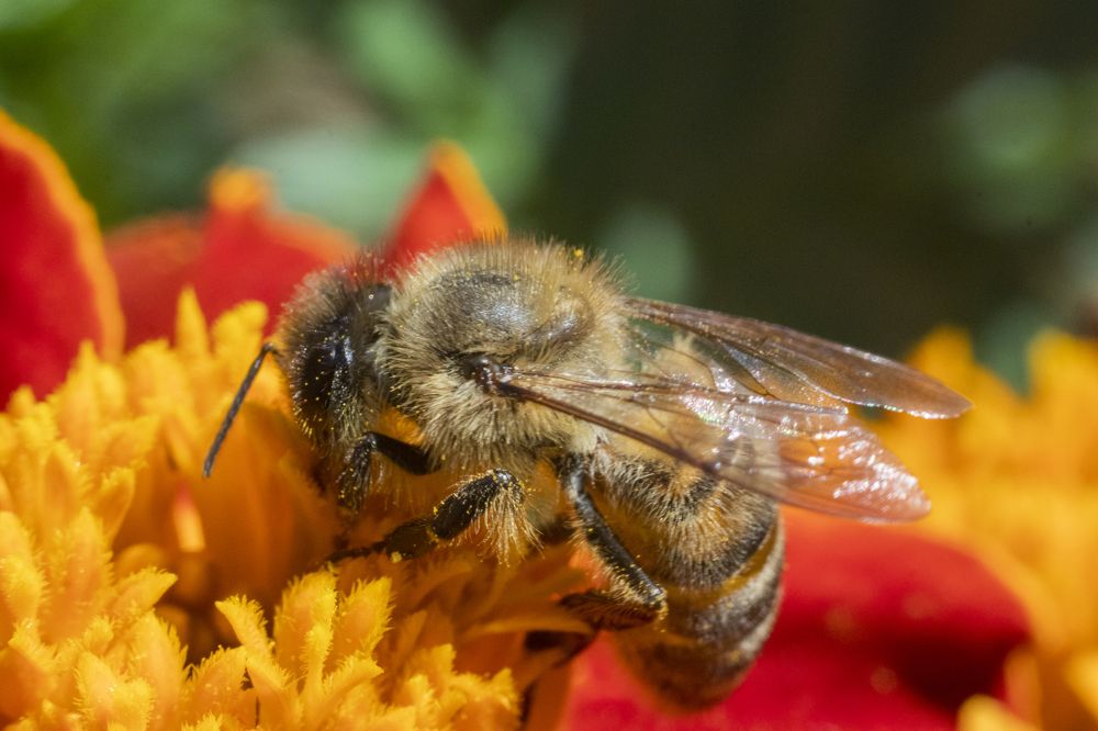 Photograph by Алексей Мосейко