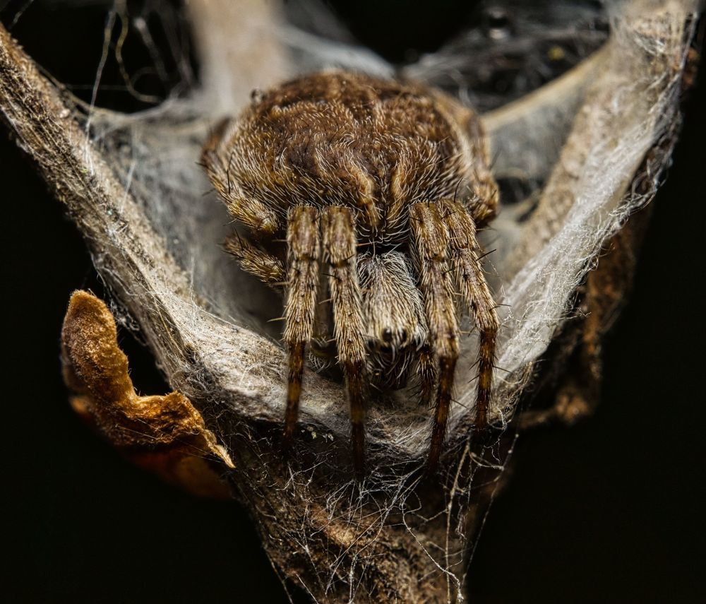 Photograph by Евгения Прокопович