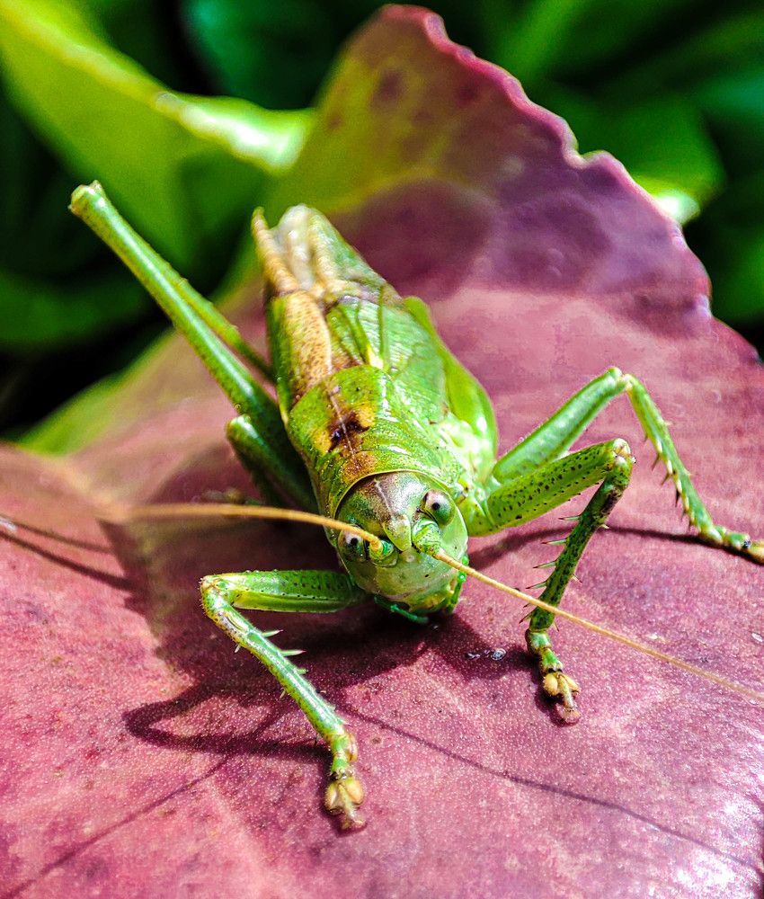 Photograph by Галина Эмберг