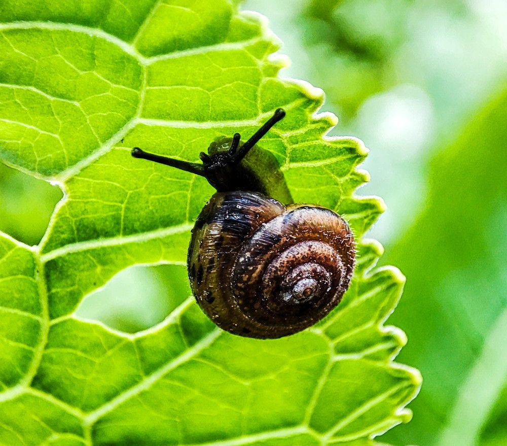 Photograph by Галина Эмберг