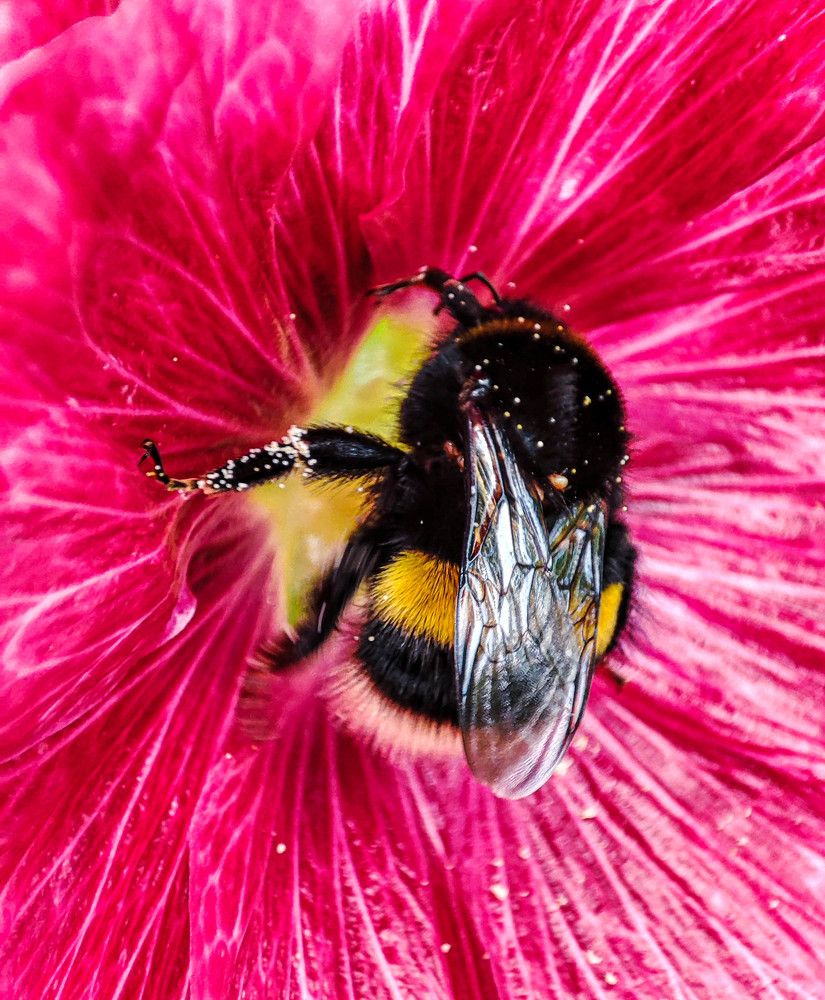 Photograph by Галина Эмберг