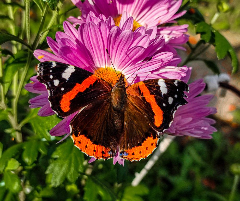 Photograph by Галина Эмберг