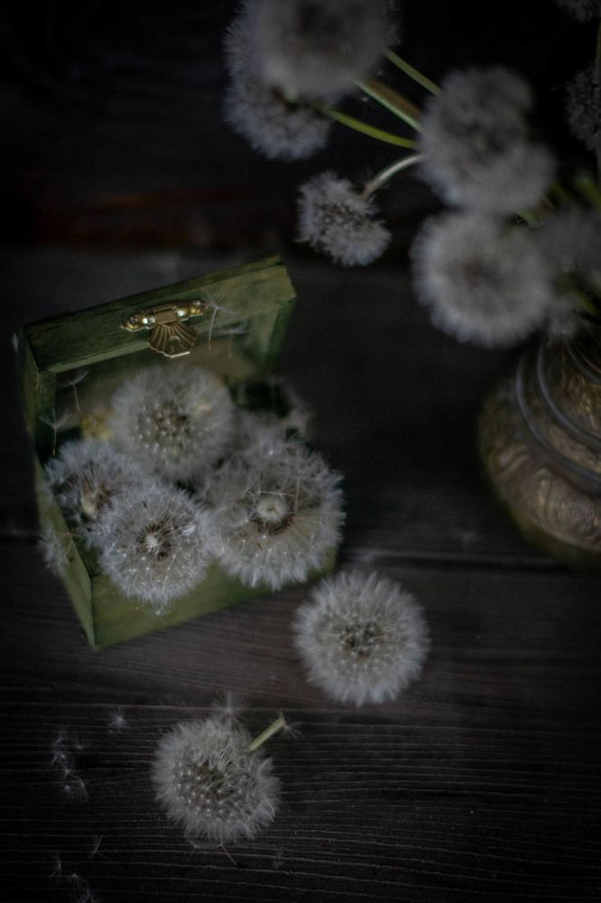 Photograph by Redjulia