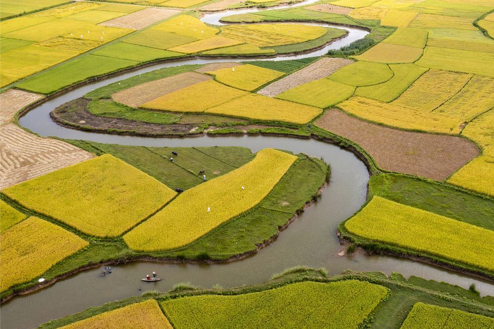 ĐỒNG QUÊ VIỆT NAM