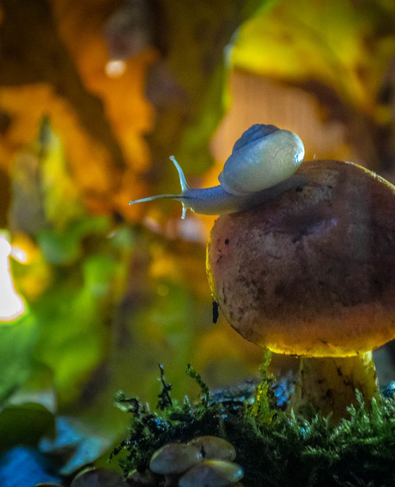 Photograph by Redjulia