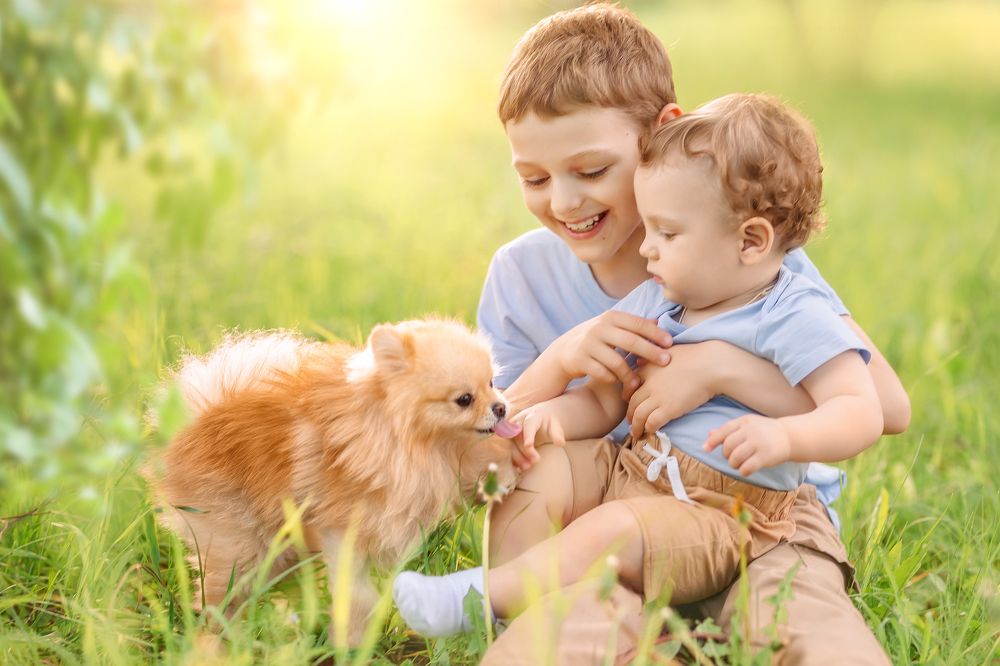 Фотография автора Ангелина Косова