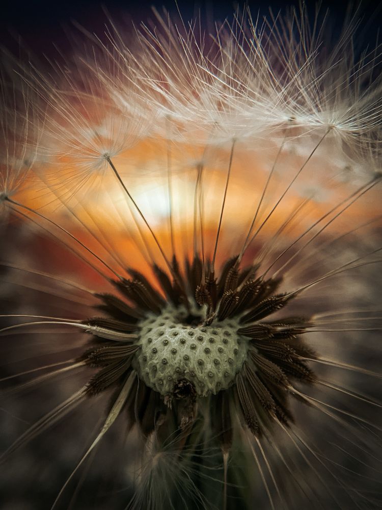 Photograph by Алексей Иванов