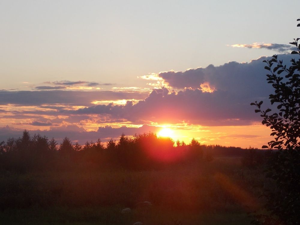 Photograph by Антонина Клементьева