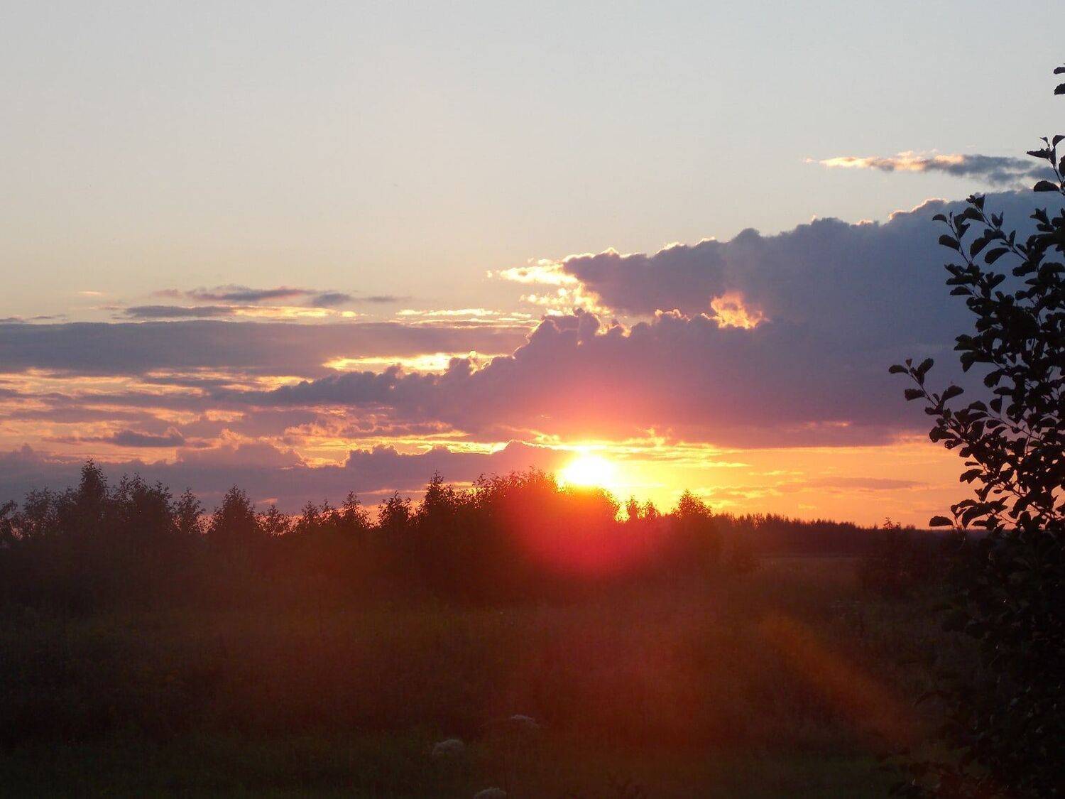 Photo #6490944