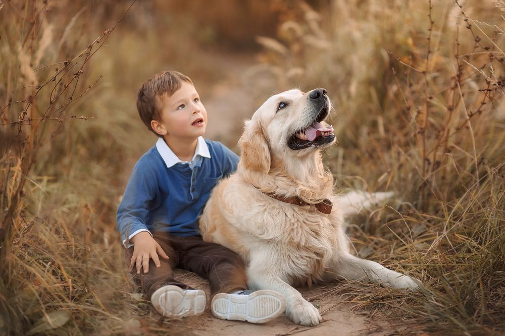 Фотография автора Ангелина Косова