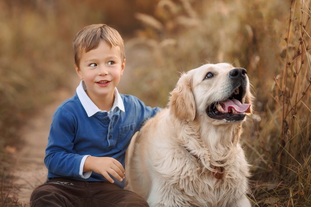 Фотография автора Ангелина Косова