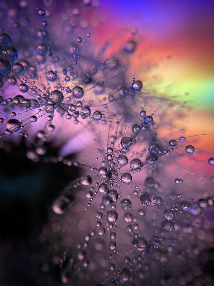 Photograph by Алексей Иванов