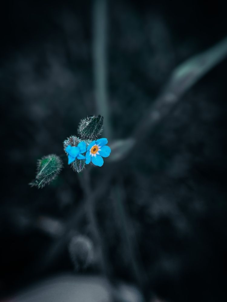 Photograph by Алексей Иванов