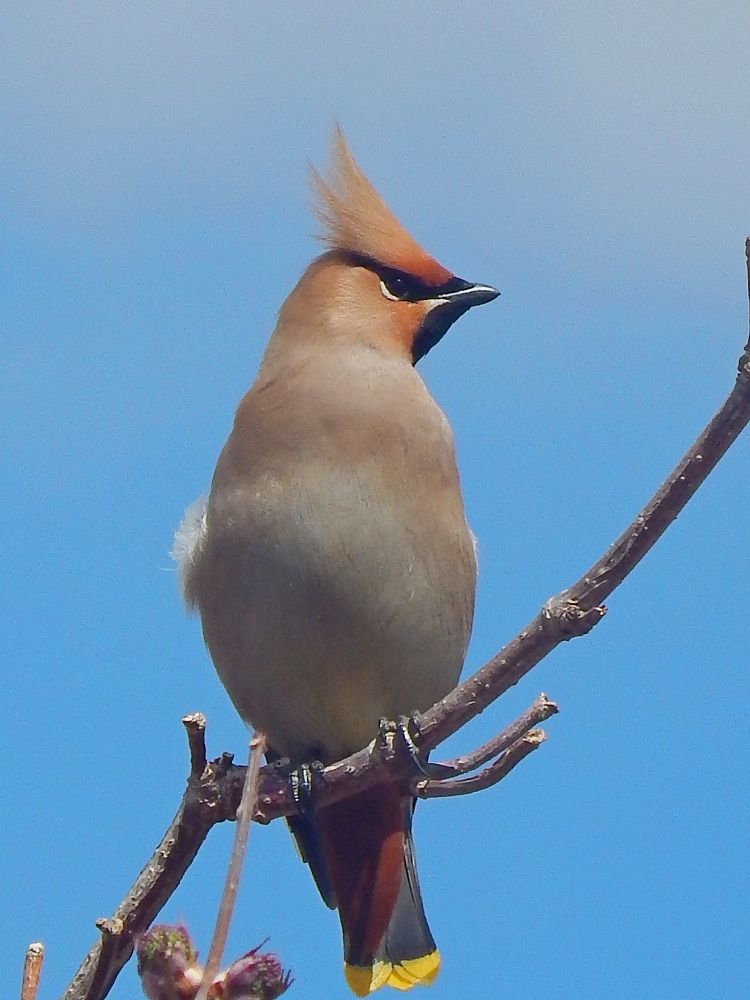 Photograph by Татьяна