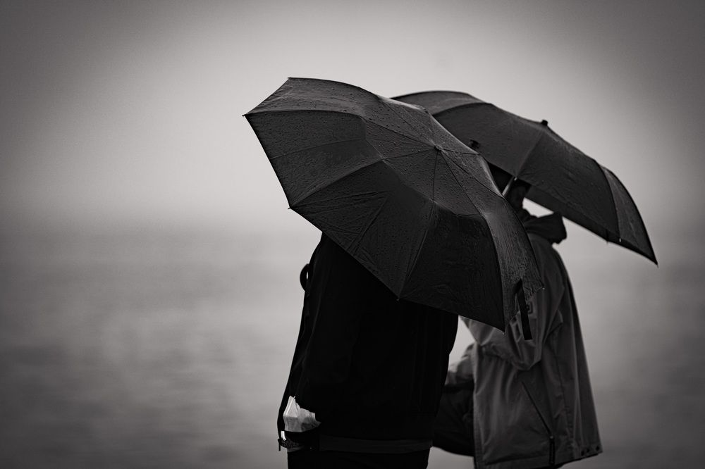 Фотография автора Mohammad Alhadhoud