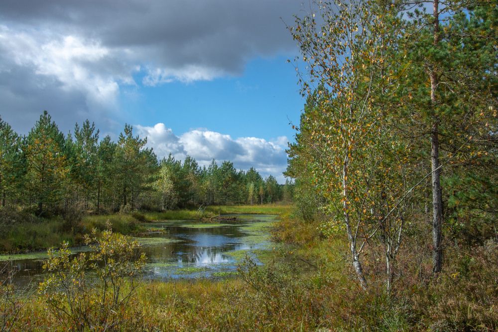 Фотография автора Геннадий Коробов