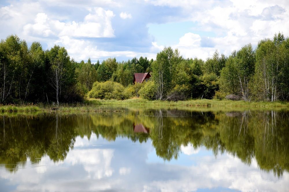 Фотография автора Замира Савинова