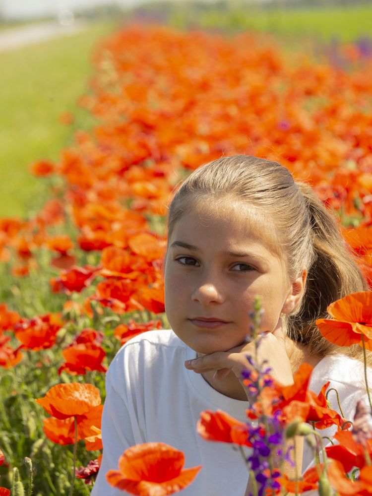 Фотография автора Александр Кротков
