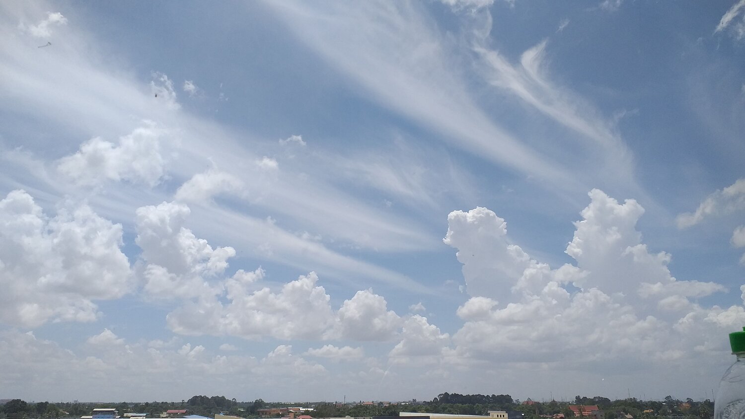 Photo #6491170