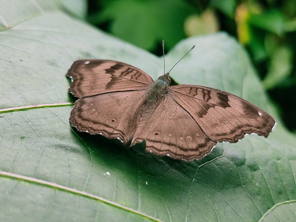 Photograph by Saurav Gupta