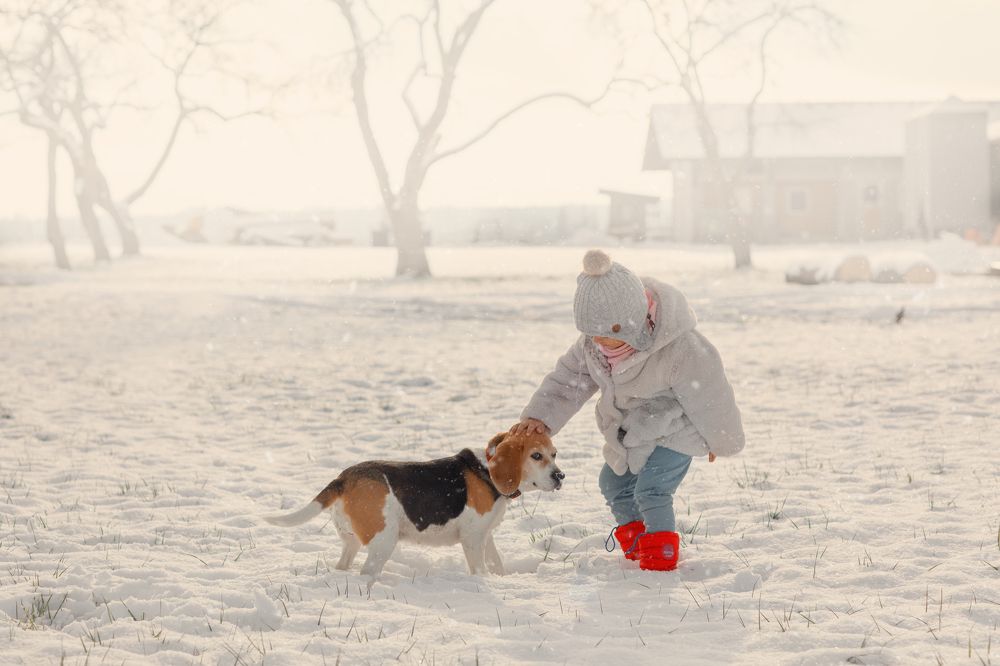 Photograph by Milena Lopez