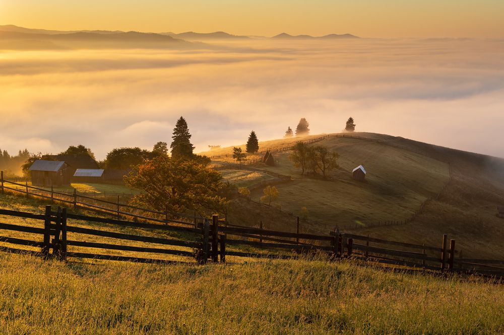 Photograph by Alex Coman