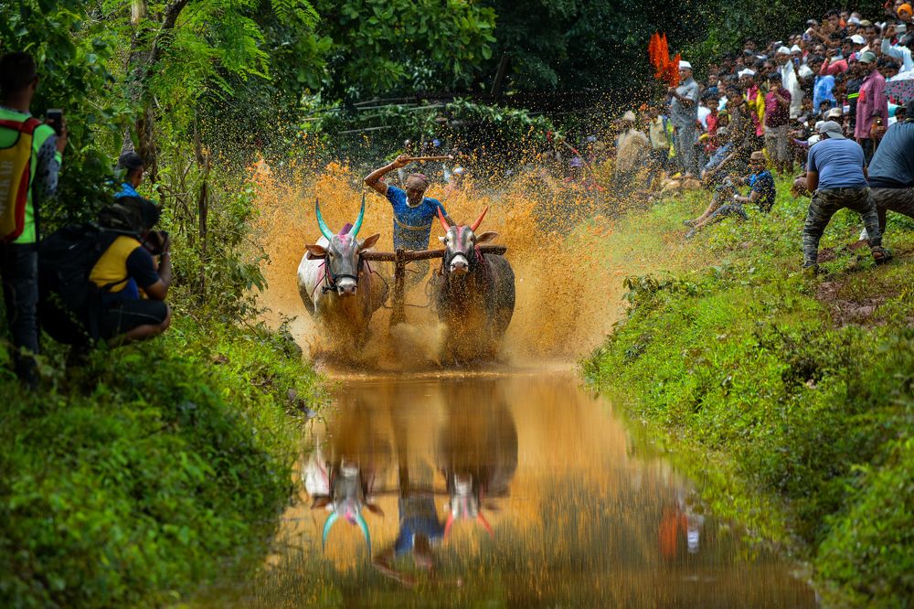 Photograph by Aniket Gurav