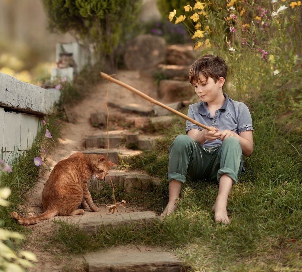 Afternoon playing with cat.