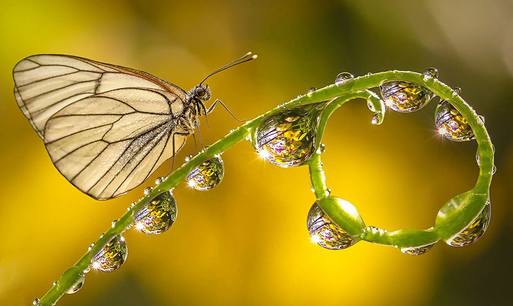 Фотография автора Andrey Pristyazhnyuk