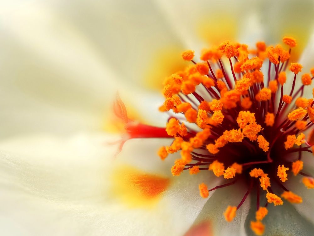 Photograph by Dmitriy